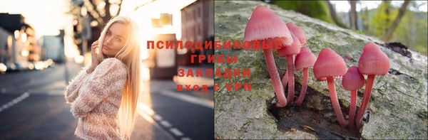 винт Абаза