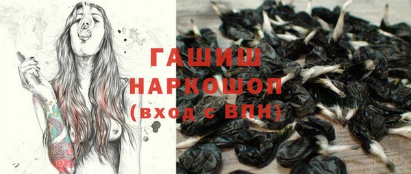 винт Абаза