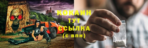 винт Абаза